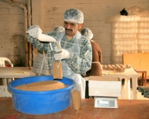 Kichererbsen_Verpacken_Libanon