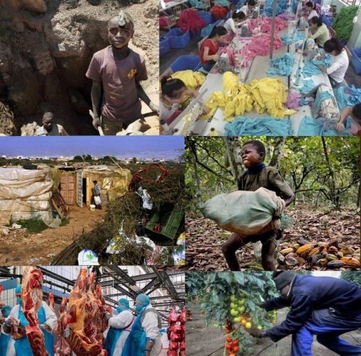 Collage mit Fotos von ausbeuterischer Arbeit: Kinder in einer Mine, Schneiderei in Fernost, Kind, schleppend mit schweren Sack, Tomatenpflücker in Süd-italien, Wohnen unter Plastikplanen in Süd-Italien